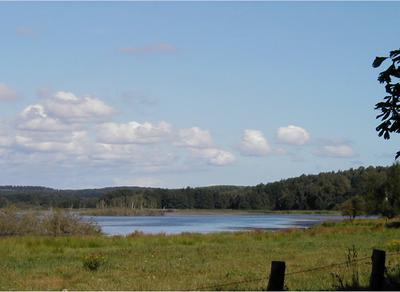 Nonnensee